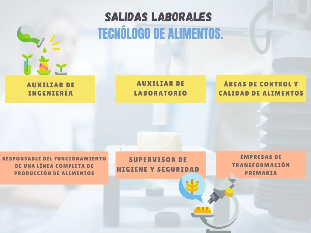 Cursos en tecnología de los alimentos